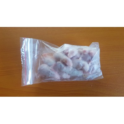 Frozen Rats - Pinkies - 10 Pack